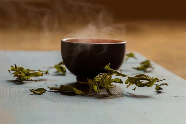 庭の植物で作るクリスマスデコレーション、節約できて超簡単