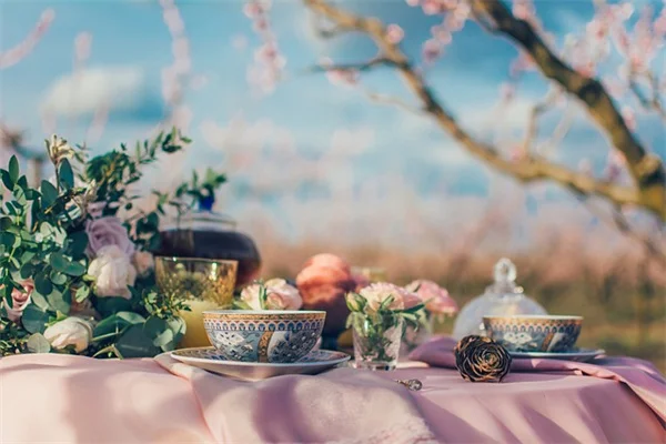 9月の摘心で秋も花いっぱい！11種の植物とコツ