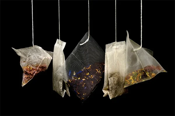 青いカボチャ、まだ食べられる？収穫のタイミングと霜対策